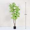 White-Green 180cm