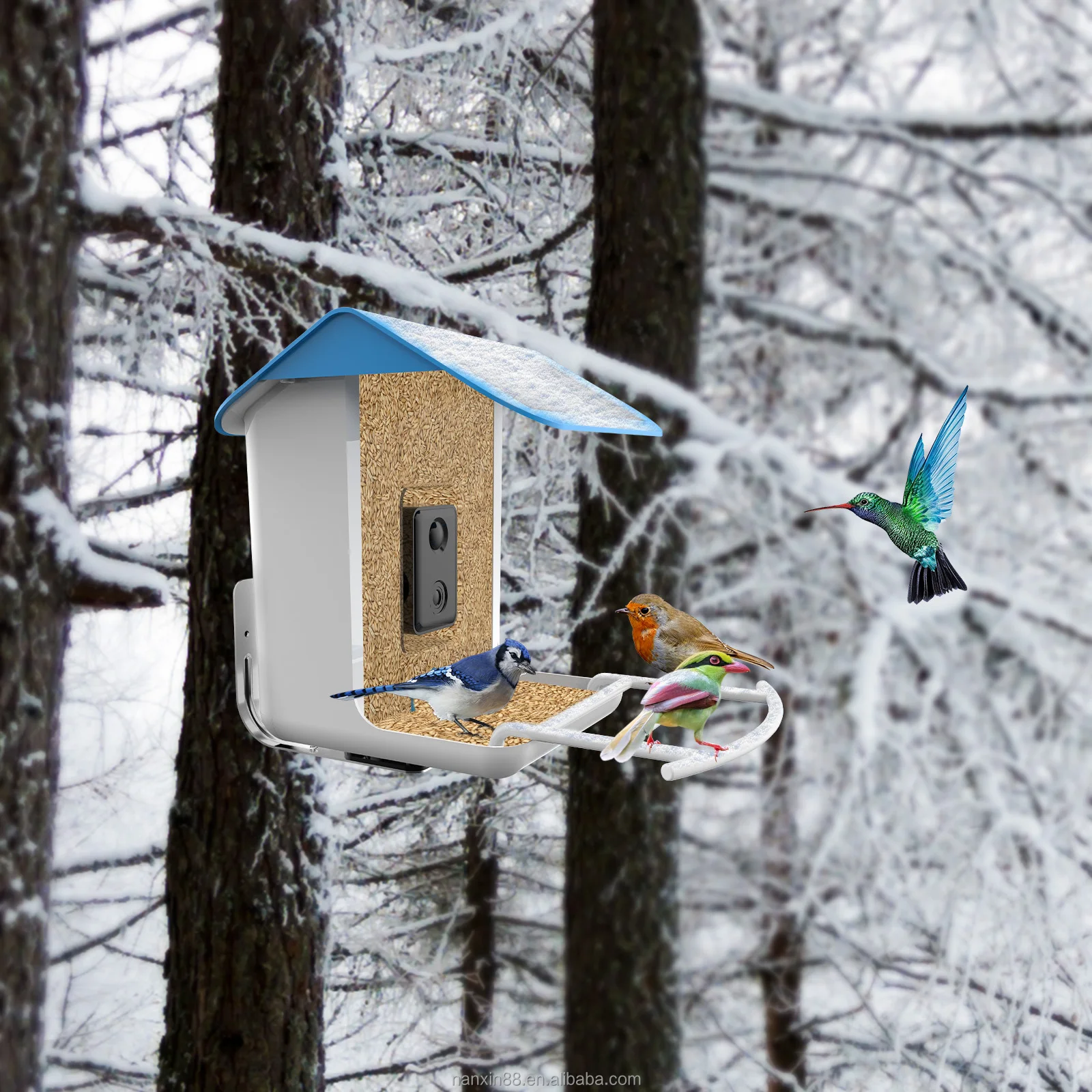 APP Control Smart Bird Feeder with Camera Bird House with Camera for  AI Recognize Bird Species
