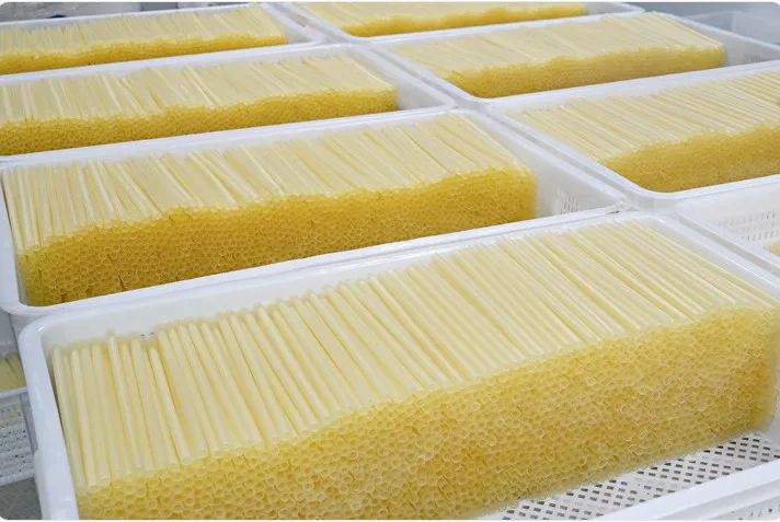 Straw 6.JPG