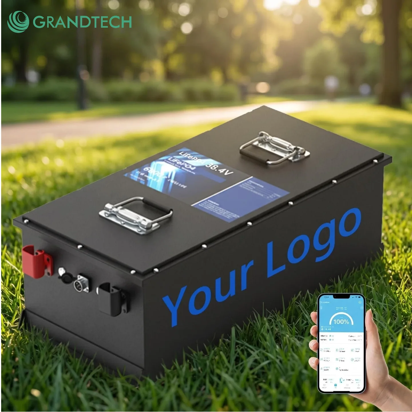 Ip67 Waterproof LiFePO4 Golf Cart Battery 50Ah 105Ah 150Ah 210Ah 315Ah 36V 48V 51.2V 72V Lithium Battery for EV