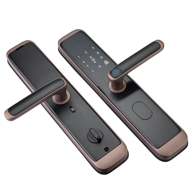 Home Smart Security Tuya Intelligent Apartment Home Office Fingerprint Electr Door Lock Smart Anti Theft Main Door Lock