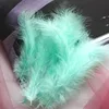 Vert bleu clair