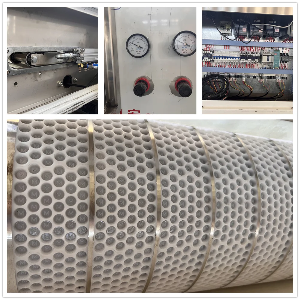 Cold Pressed Dry Wet Pet Dog Cat Treats Food Feed Pellet Extrusion Forming Making Machinery