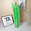 Dried rice crackers green