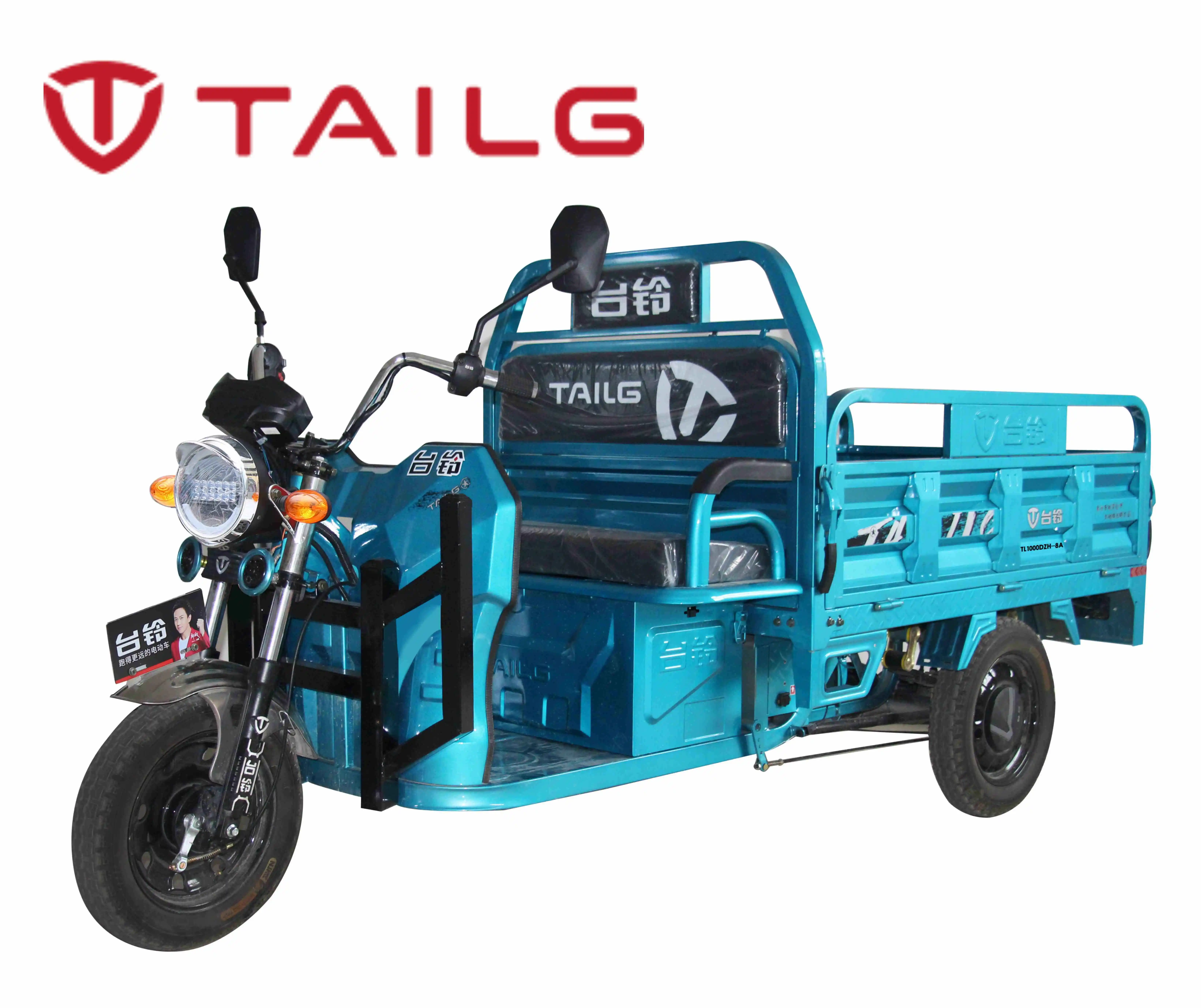 tailg e bike 3 wheel