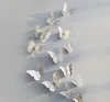 Plata-B