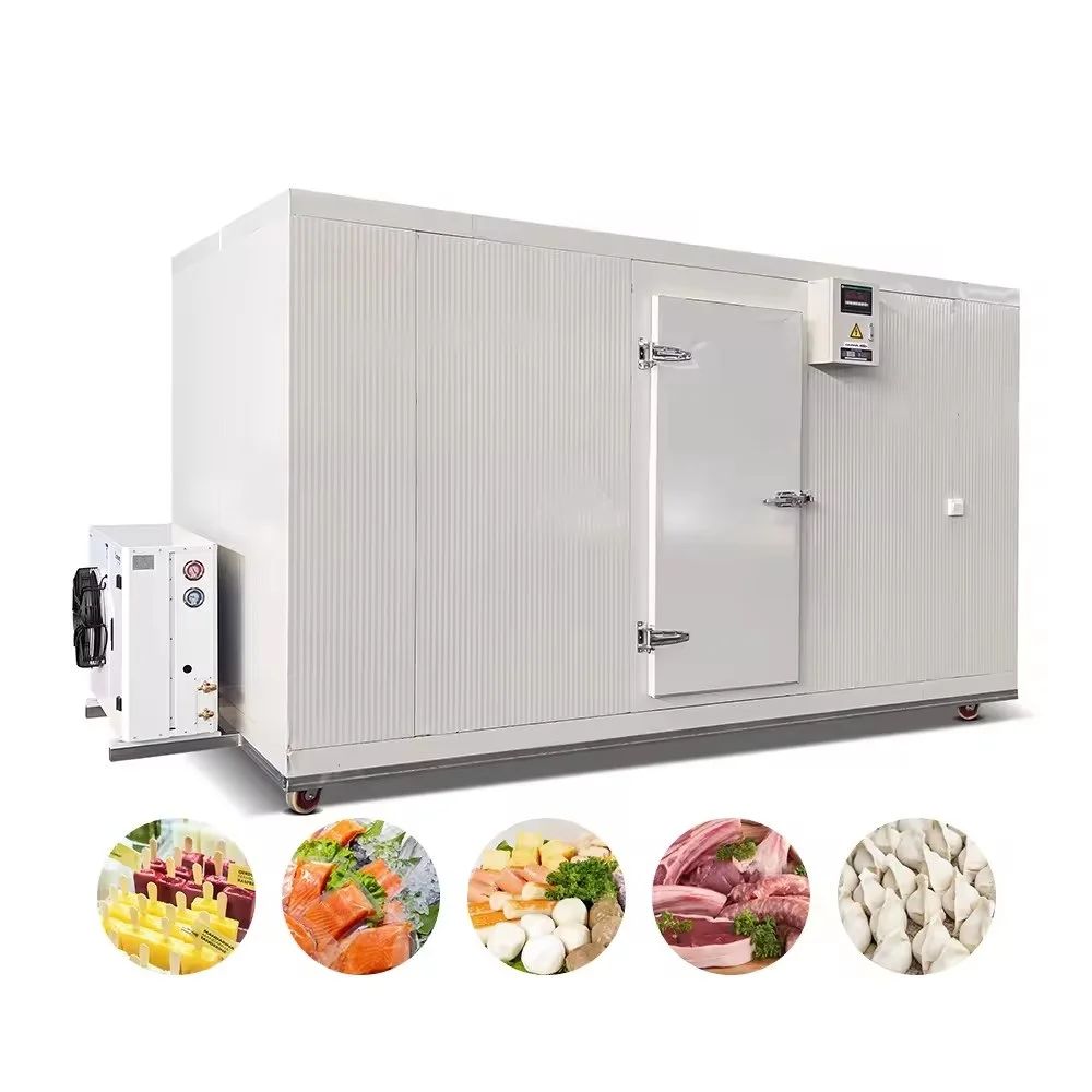 Industrial Walk in Freezer Mobile Container Cold Storage Blast Freezer Room Cooler Rooms for Meat