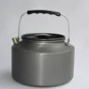 2l kettle-black handle