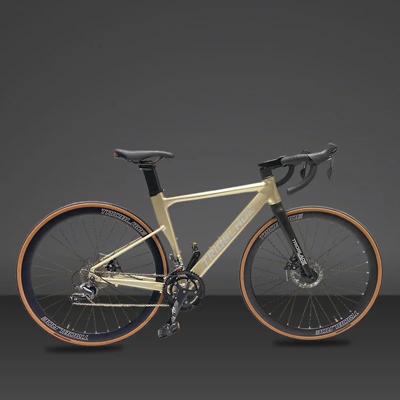 2025 New Design Custom Frame Speed Road Bike Bicycle for Adult
