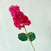 Meiyi pagoda hydrangea rose red