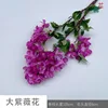 Large crape myrtle flower JN Rose red