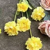 Rosa Coreana Amarilla de 5 Cabezas