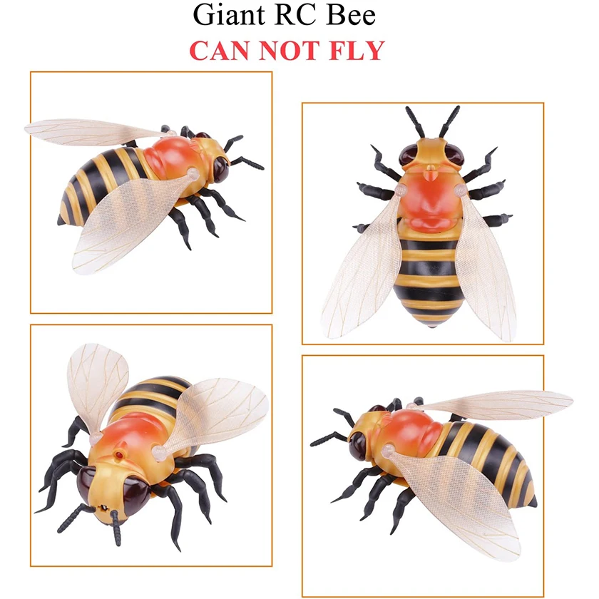 France-Télécommande À Infrarouge Rc, Insectes, Animaux Mantis, Tours