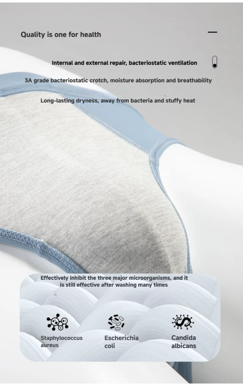 New Arrival Men's Underwear Comfortable Breathable  Antibacterial Ice Silk Men's Briefs Nylon Panties Custom OEM Supplier