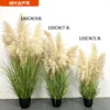 Green leaves-white reeds