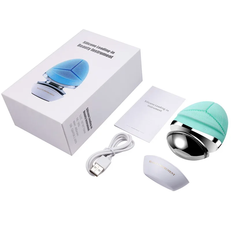 Multifunction Facial Cleansing Brush Ems Facial Massager Led Light