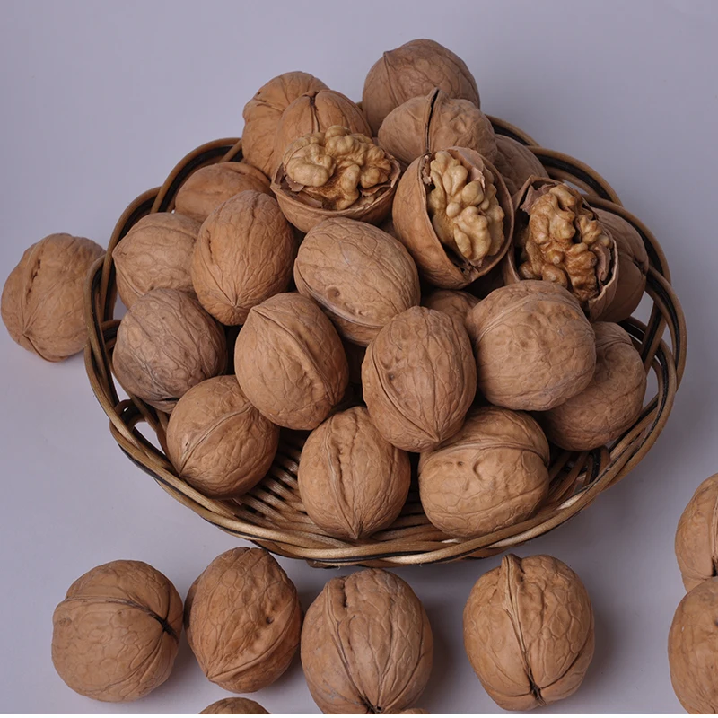 Мексиканский орех пекан. Орехи которые растут в узбекистане. Пекан и грецкий орех. Орехи которые похожи на грецкие. Орех пекан.