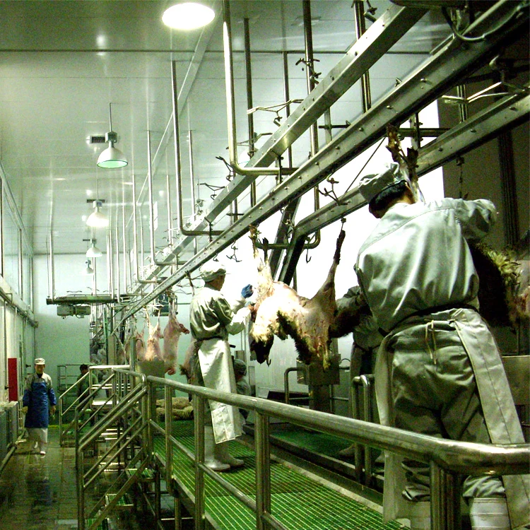 Muslim approved small ruminant sheep slaughterhouse equipment