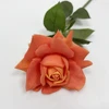 สีส้ม