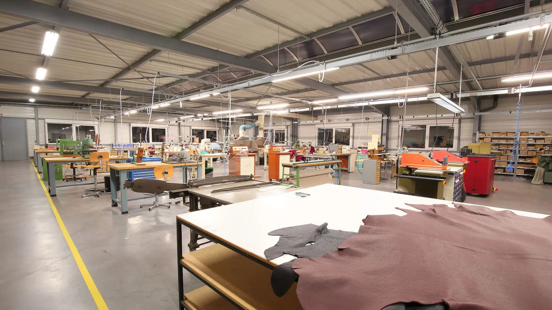 Guangdong Guoniu Leather Co., Ltd.