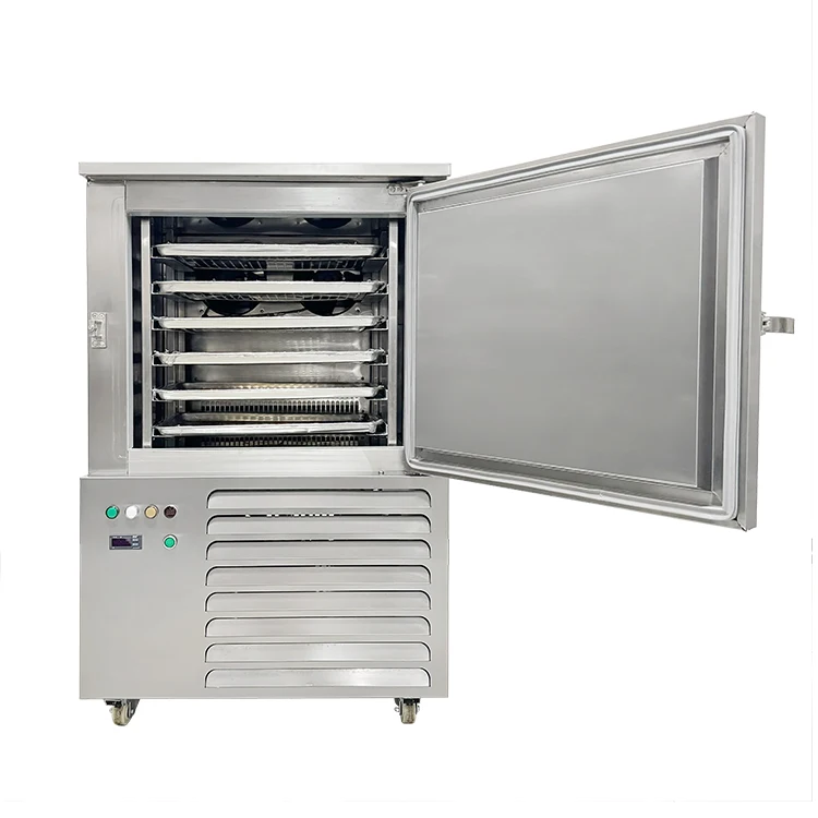 Blast Freezer, 220V, 2.3 - detail 6