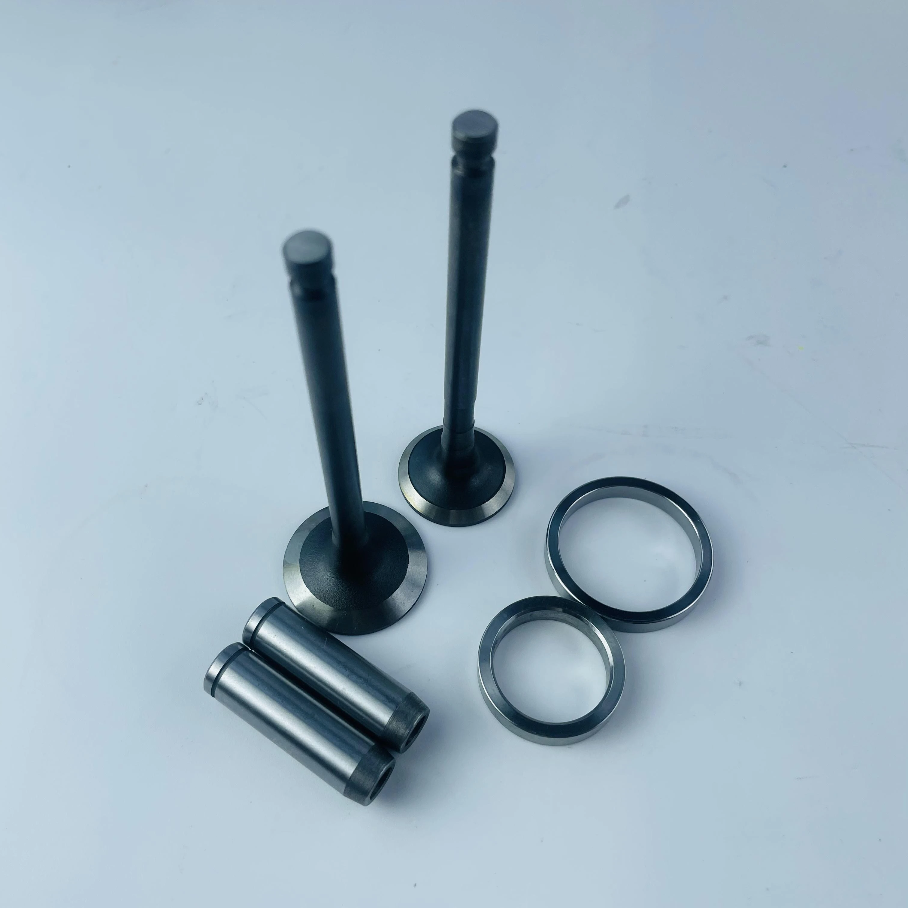 Z500 Intake and Exhaust Valve Seat for Kubota Engine Replacement Parts