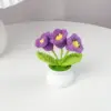 ผลิตภัณฑ์สำเร็จรูป ลิลลี่สีม่วงเข้ม (สามดอก) กระถางต้นไม้ขนาดเล็ก