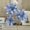 Xq-3 orchidea viola-blu
