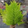 green a