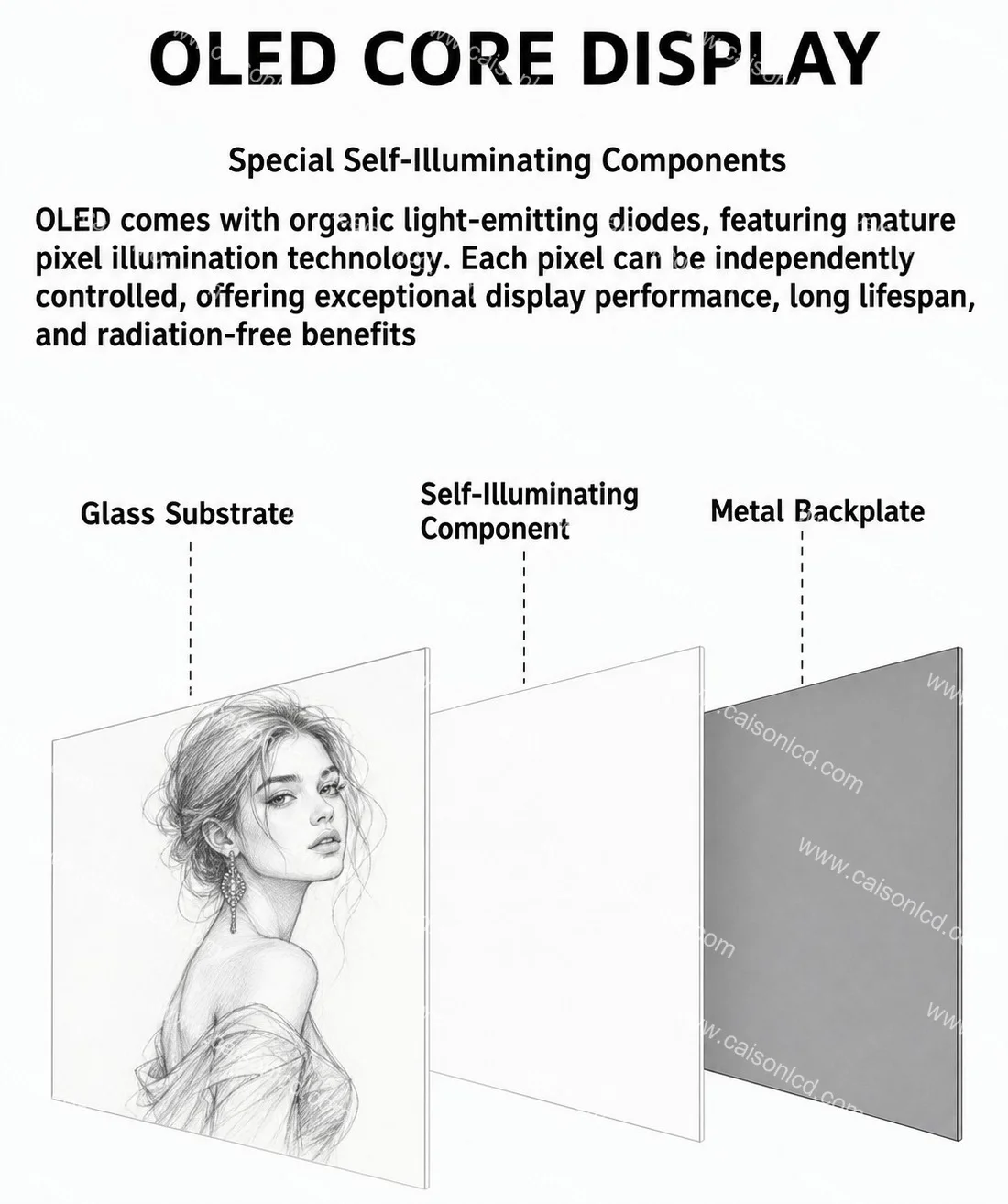 product 55 inch transparent oled screen 4k hd touch ultra thin transparent oled digital signage and display-5