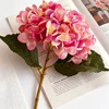 rose rouge