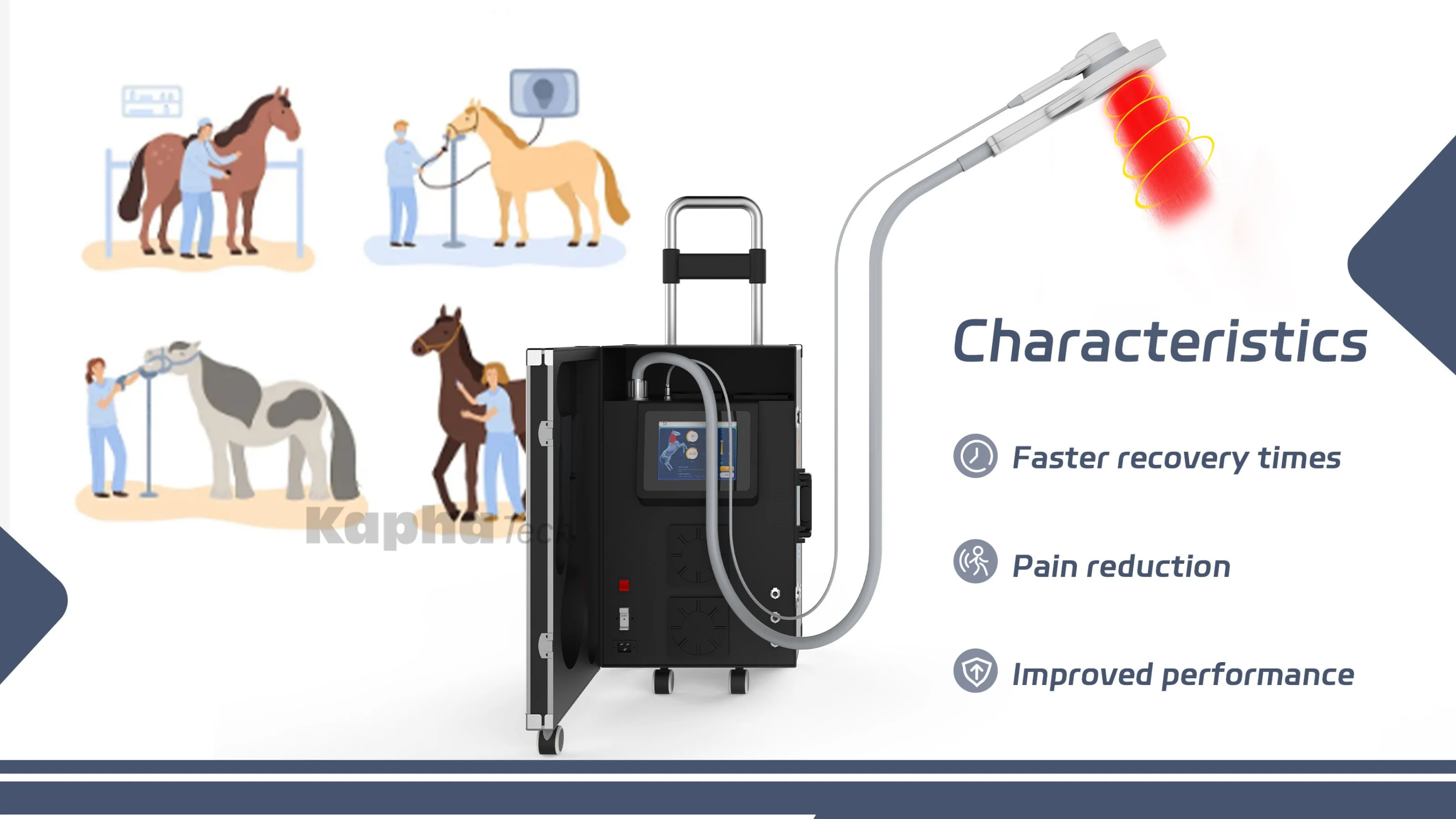 Best Physio Plus Nirs Pemf Therapy Device Horse