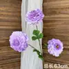 Purple three-headed koi peony