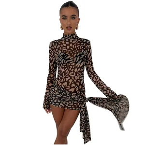 2026 Dropshipping Sexy Women's 2-Piece Set Mesh Swimdress Leopard Bikini with Ruffles Breathable Quick-Dry