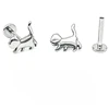 Titanium color puppy