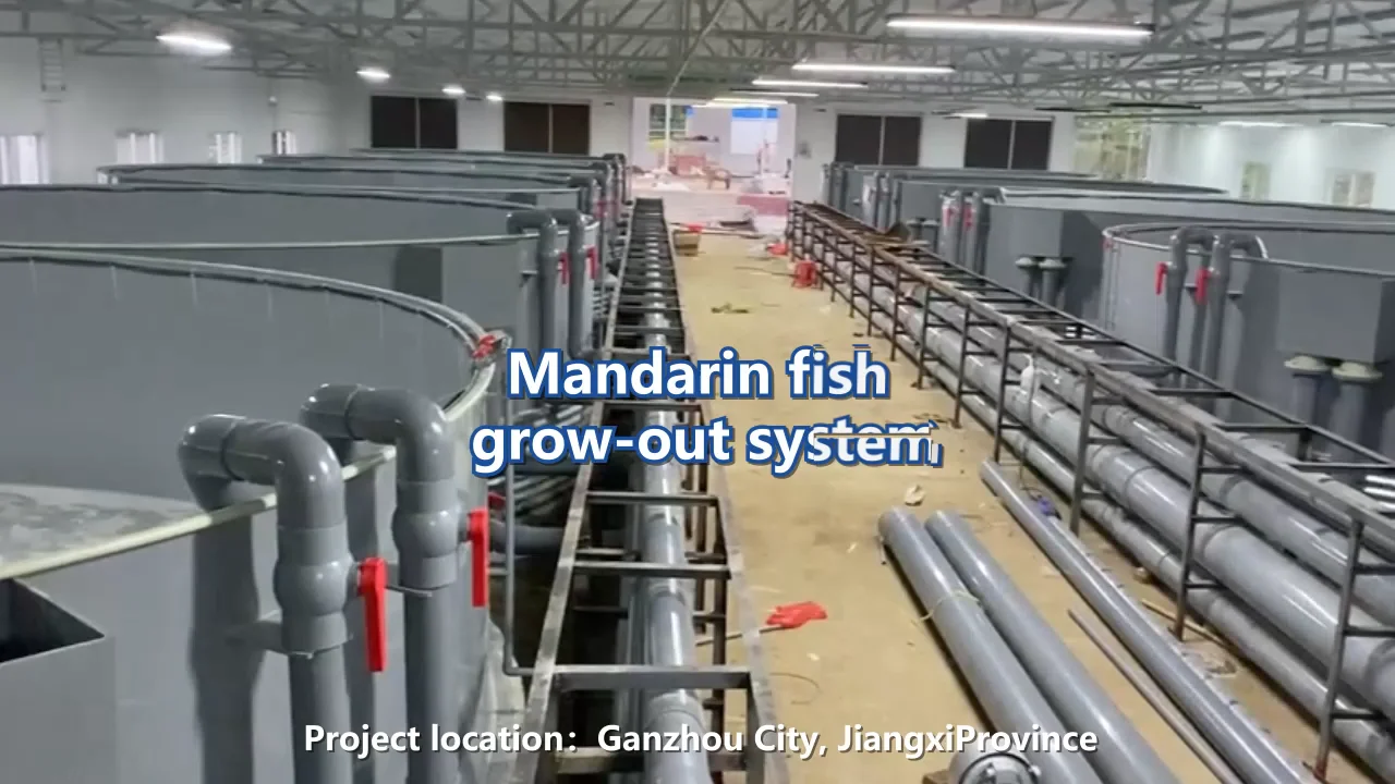 Ras Fish And Shrimp Farming Equipment,Recirculating Aquaculture System ...