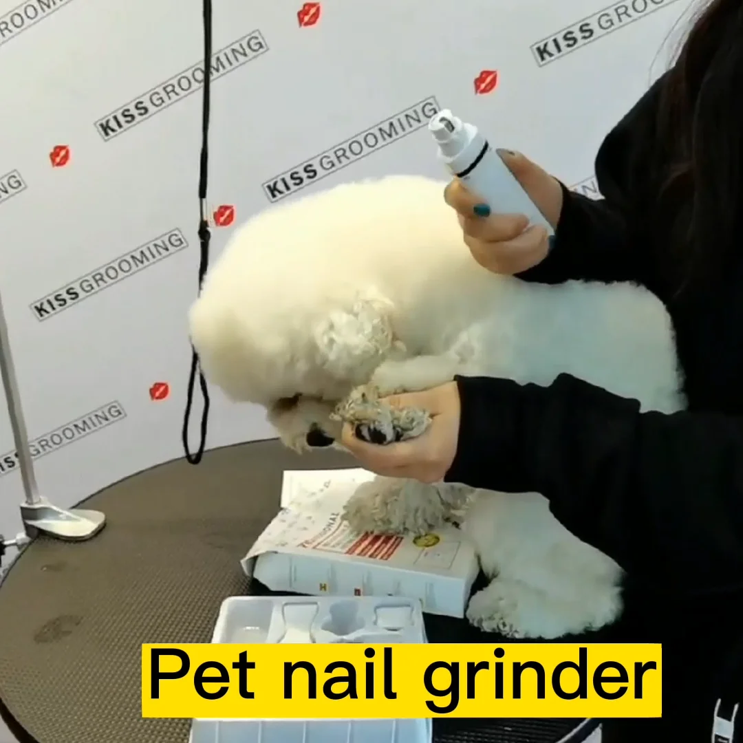 Dog Nail Grinder Aeolus Economic Pet Grooming Tool Factory Wholesale