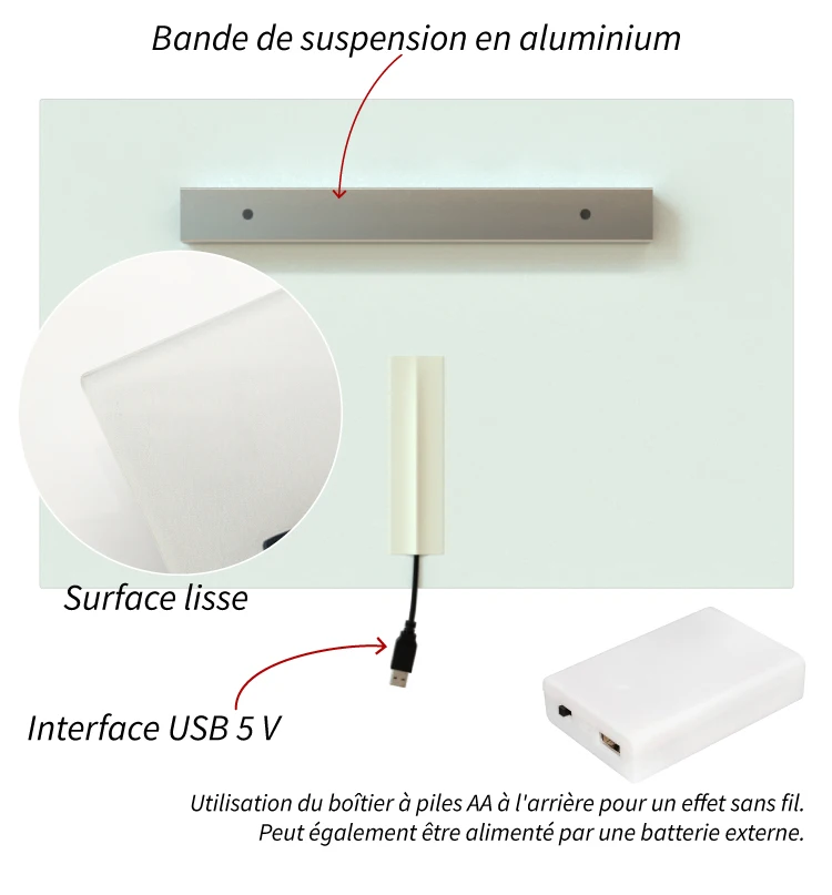 Affiche LED pour voiture