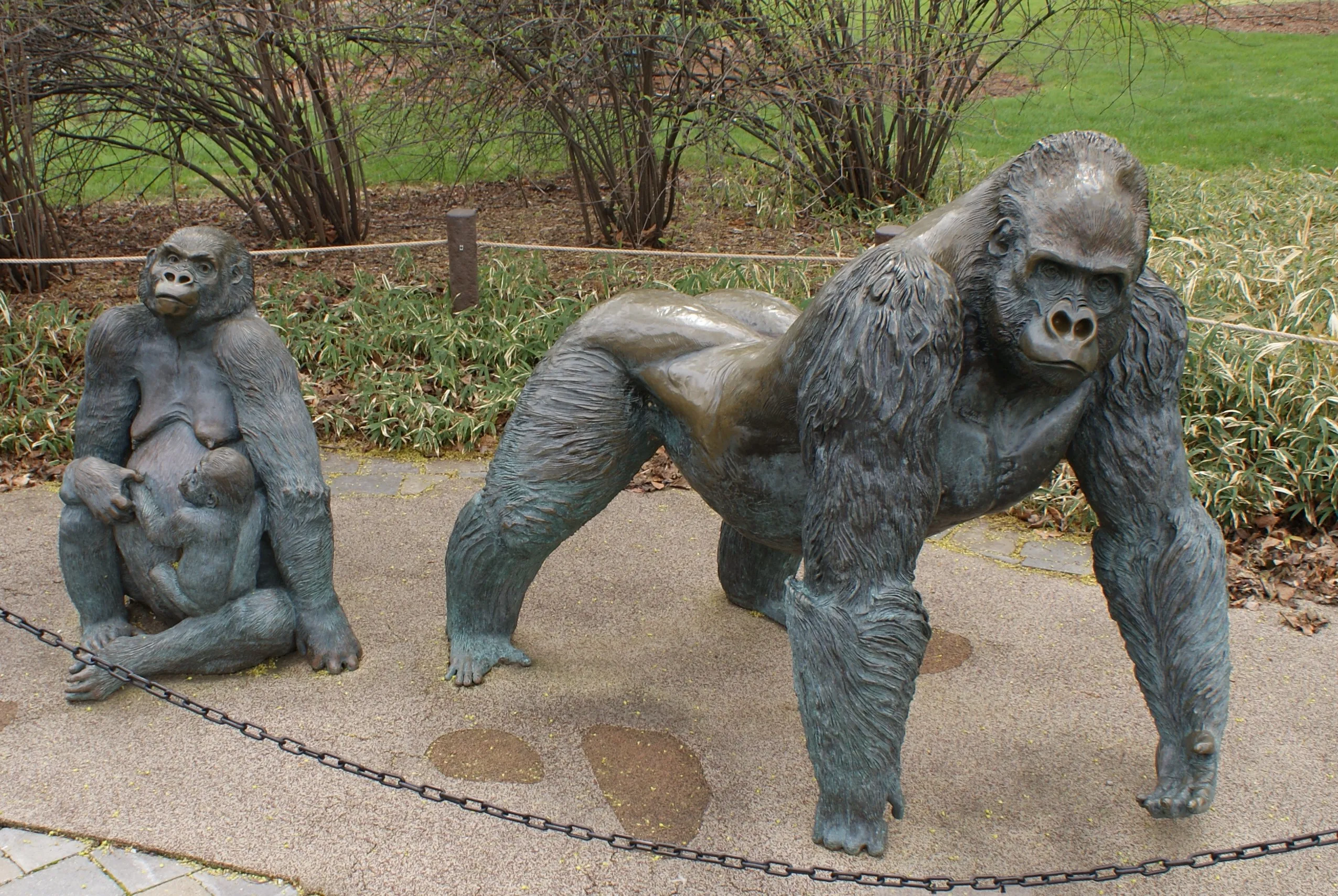 Modern Life Size Sculpture Art Statue Bronze Gorilla Garden Gold Large