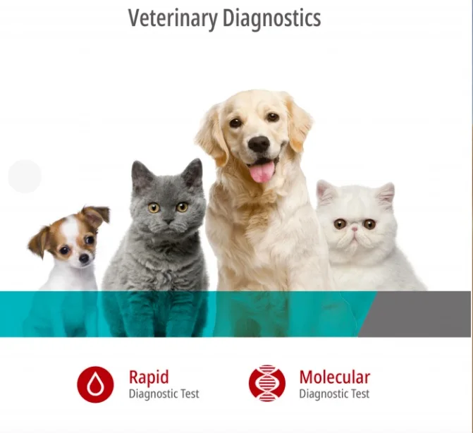 Huichao Vet Diagnostic Feline Panleukopenia Fpv Test Antigen Test - Buy ...