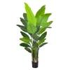 220cm h traveler banana-with black plastic basin