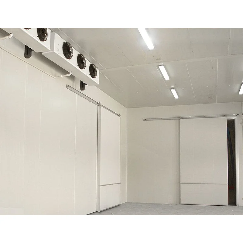 Logistics Food Freezer Cold Storage Walk in Cooler and Freezer Quick Freezer Large Cold Storage Logistics Posit Cold Room