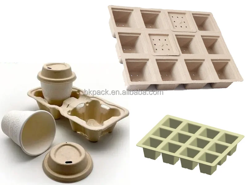 How to Mold Paper Pulp Using Eco-Friendly Materials: A Comprehensive Guide
