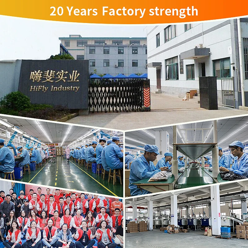Company overview