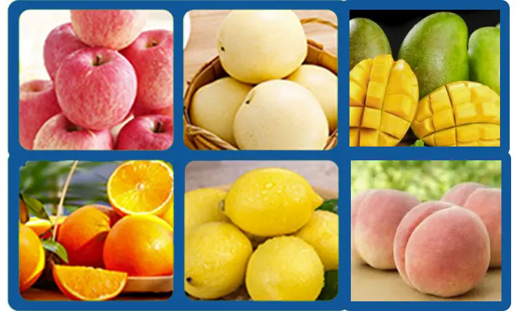 Fruits Export Company Jamun Washing and Dry Processing Line