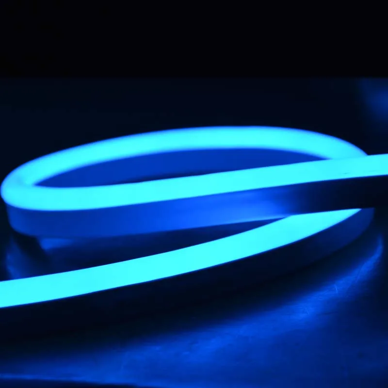 Custom IP68 Boat Swimming Pool Underwater Lighting Flat Led Neon Light Strip 24V 12v