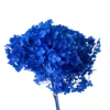 Azul oscuro