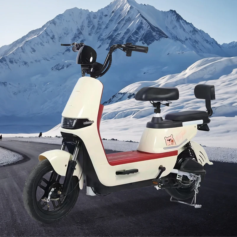 Cheap Electronic Cycle Two Electric Motor E-bike El Easy Go Bicycle New  Design Adult City Bike Price in Bangladesh