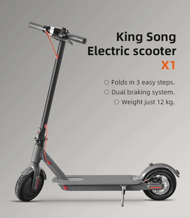 Electric Kick Scooter Motor Power Gas Scooters in the Mileage of 50km