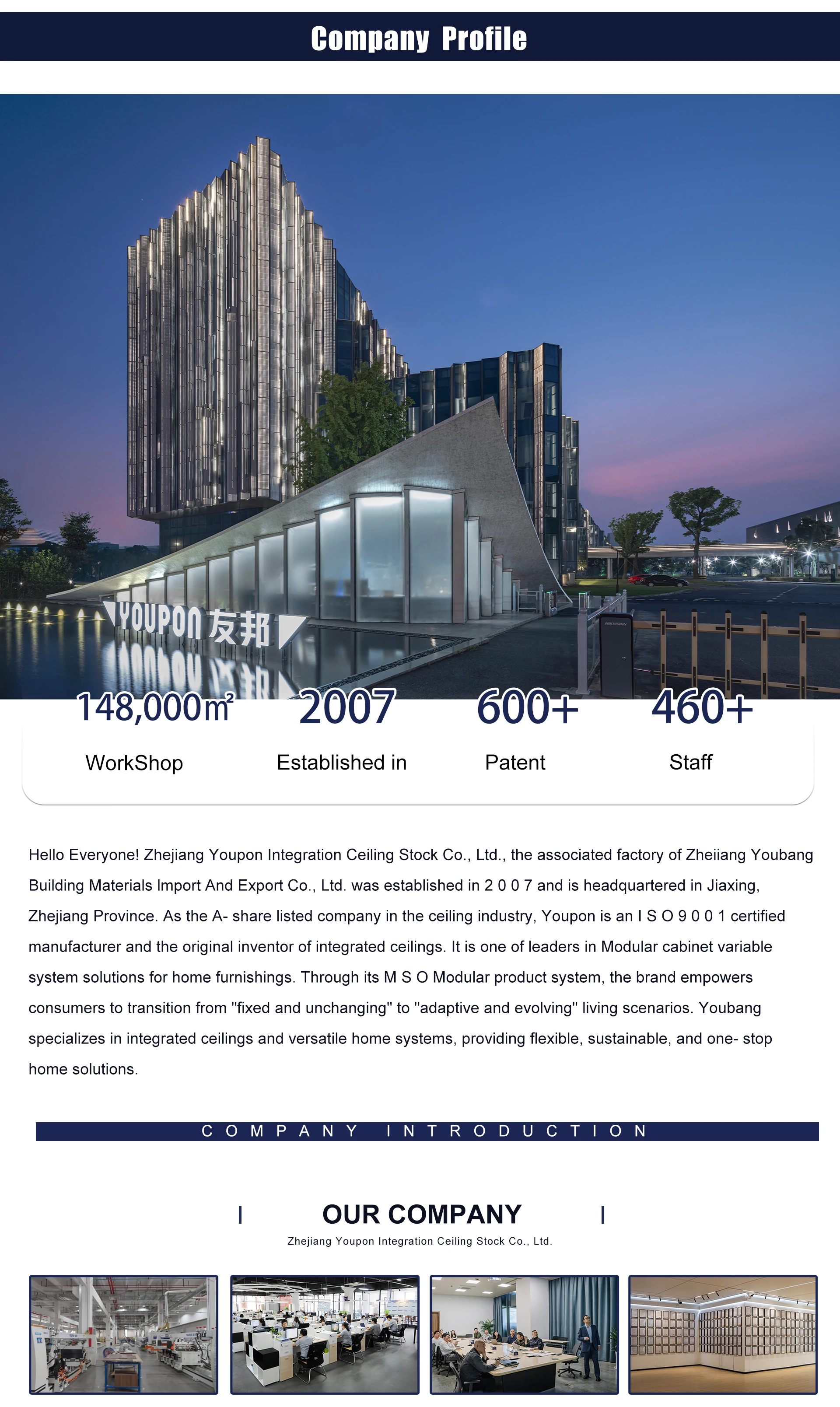 Company overview